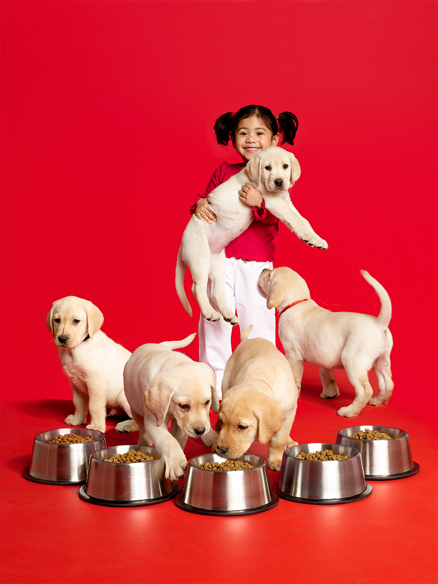 puppies